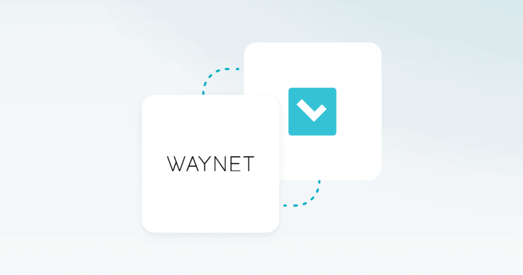Waynet - Luigi's Box